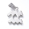 Non-Tarnish 304 Stainless Steel Pendants LS-STAS-L210-06L-P-01-2