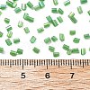 Two Cut Glass Seed Beads CSDB167-3