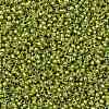 TOHO Round Seed Beads X-SEED-TR15-1811-2