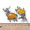 Alloy Elk Brooches JEWB-A021-02AS-06-3