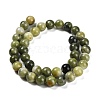 Natural TaiWan Jade Beads Strands G-B128-A07-04-5