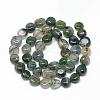 Natural Moss Agate Beads Strands G-R445-8x10-01-2