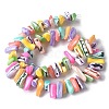 Dyed Natural Trochus Shell Beads Strands X-SSHEL-C013-09G-2