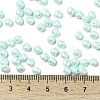 6/0 Glass Seed Beads SEED-L011-08A-14-4