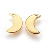 304 Stainless Steel Charms STAS-E447-08G-2