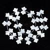 Natural White Shelll Beads Strands SSHEL-S278-123B-3
