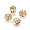 Brass Bead Cap KK-I664-01G-1