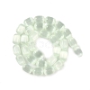 Natural Selenite Beads Strands G-F750-11-3