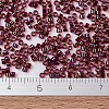MIYUKI Delica Beads X-SEED-J020-DB1751-4