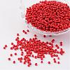 12/0 Opaque Colours Round Glass Seed Beads X-SEED-A010-2mm-45-1