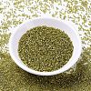 MIYUKI Delica Beads X-SEED-J020-DB2164-2