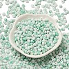 Baking Paint Glass Seed Beads X1-SEED-F006-01A-08-2