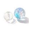 Mixed Style Glass Beads GLAA-XCP0012-02D-2