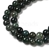 Natural Moss Agate Beads Strands G-A248-A02-01-4