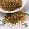 MIYUKI Delica Beads SEED-X0054-DB0119-1