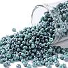 TOHO 8/0 Round Beads X-SEED-TR08-1206-1