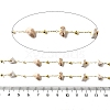 Handmade Natural Howlite Chip Beaded Chains CHC-F020-09G-02-2
