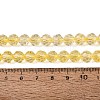 Crackle Transparent Glass Beads Strands GLAA-N068-06A-06-4