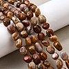 Natural Petrified Wood Beads Strands G-L621-C11-01-1