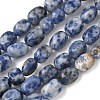 Natural Blue Spot Jasper Beads Strands G-C286-A01-2