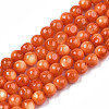 Natural Freshwater Shell Beads Strands SHEL-N003-24-B06-1