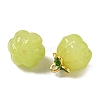 Glass Charms GLAA-P072-04G-03-2