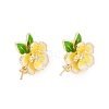 Brass Enamel Stud Earring Findings ZIRC-P122-08G-1
