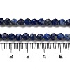 Natural Sodalite Beads Strands G-B088-C03-04-5