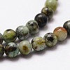 Natural African Turquoise(Jasper) Beads Strands LS-G-D840-90-10mm-3