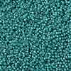 MIYUKI Round Rocailles Beads X-SEED-G009-RR3765-3
