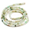 Natural Serpentine Beads Strands G-G161-D24-01-3
