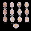 Oval Natural Rose Quartz Rune Stones PW-WG63123-07-1