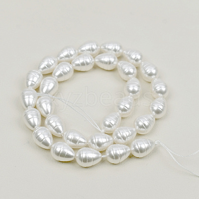 Shell Pearl Beads Strands BSHE-K010-05A-1