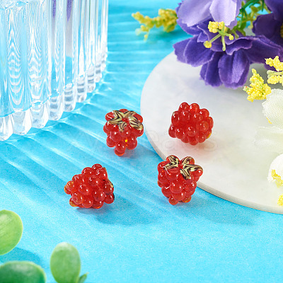 4Pcs Handmade Lampwork Beads LAMP-TA0002-24G-1