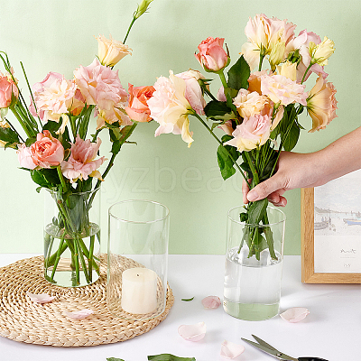 Transparent Glass Hydroponic Vase AJEW-WH0348-441B-1