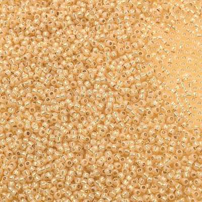 TOHO 11/0 Round Beads X-SEED-TR11-2110-1