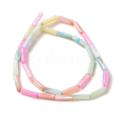 Rainbow Color Dyed Natural Freshwater Shell Beads Strands SHEL-G018-02B-1