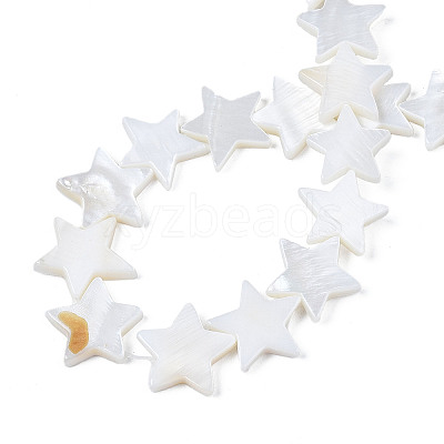 Natural Freshwater Shell Beads Strands LS-SHEL-S278-01D-01-1