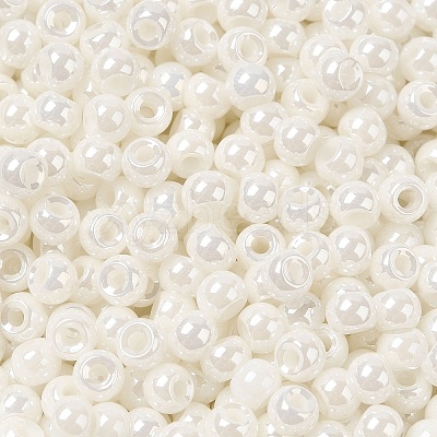 Glass Seed Beads SEED-H002-E-A121-1
