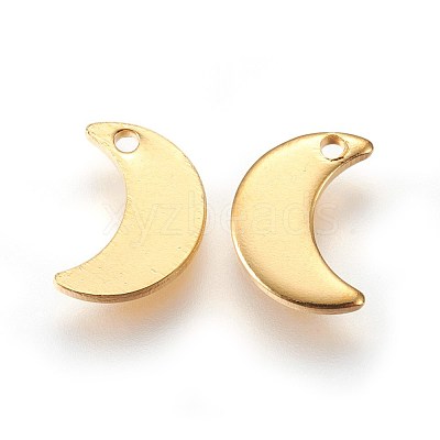 304 Stainless Steel Charms STAS-E447-08G-1