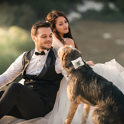 Plastic Artificial Leaf & Velvet Dog Ring Bearer HJEW-DR00077-1