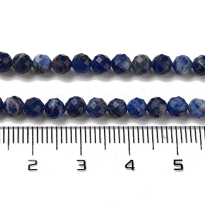 Natural Sodalite Beads Strands G-B088-C03-04-1