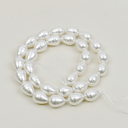 Shell Pearl Beads Strands BSHE-K010-05A-1
