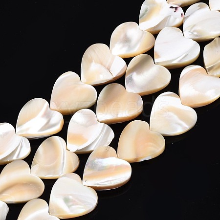 Natural Trochid Shell/Trochus Shell Bead Strands SSHEL-N034-92A-01-1