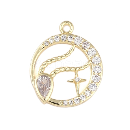 Brass Micro Pave Clear Cubic Zirconia Pendants FIND-B077-02G-11-1