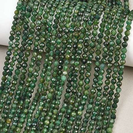 Natural Fuchsite Beads Strands G-RM250101-C33-1