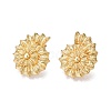 Brass Earring for Women EJEW-M259-01A-G-1