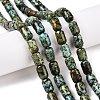 Natural African Turquoise(Jasper) Beads Strands G-G980-33B-2