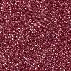 TOHO Round Seed Beads X-SEED-TR15-0109B-2