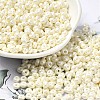 Baking Paint Luster Glass Seed Beads X-SEED-B001-04A-11-1